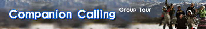 Companion Calling