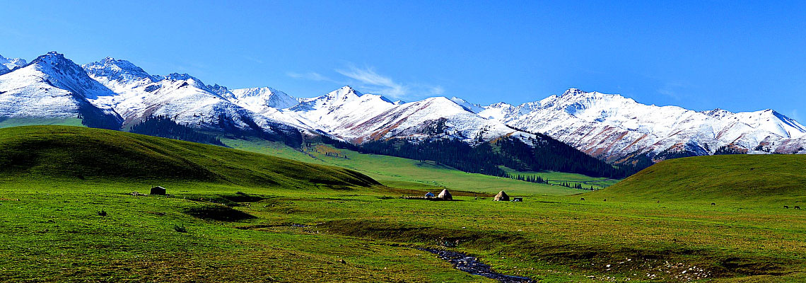 Xinjiang Travel to Grassland