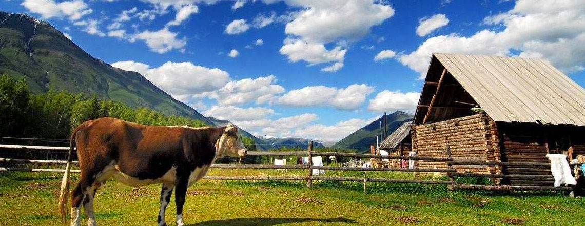 12 Days Xinjiang Travel with Natural Wonder & Folklore