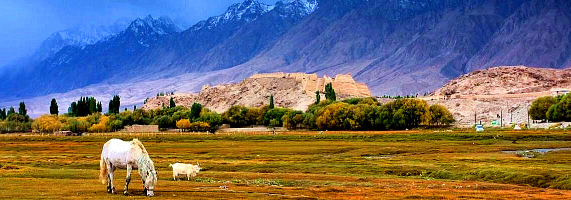 Southern Xinjiang Luxurious Tour