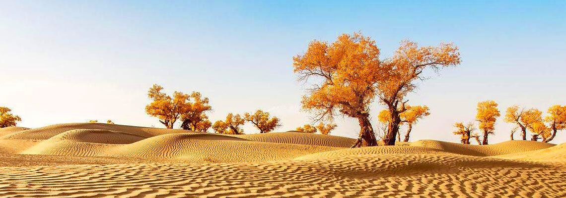 Silk Road Taklamkan desert + Luoyang Tour