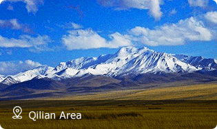 Qilian Area