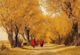 Silk Road Travel from Australia