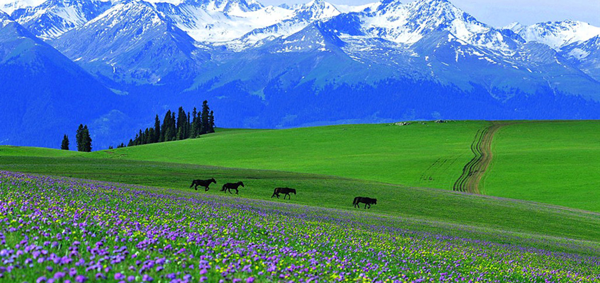 Kashgar Kuqa and Yili (Ili) Tour