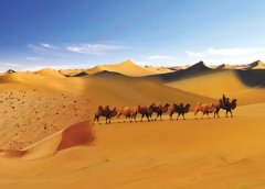Ancient Buddhist temple found in Taklimakan Desert
