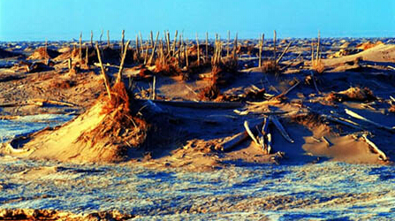 The Introduction of Ruoqiang