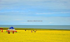 Qinghai Lake