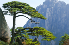 The Yellow Mountain: A Mountain of Art