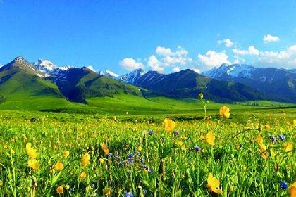 Narat Grassland