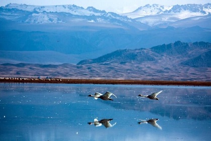 Swan Lake