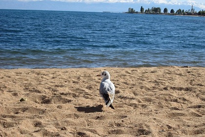 Issyk Kul