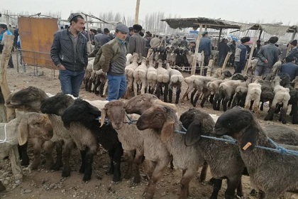 Kashgar Livestock Market