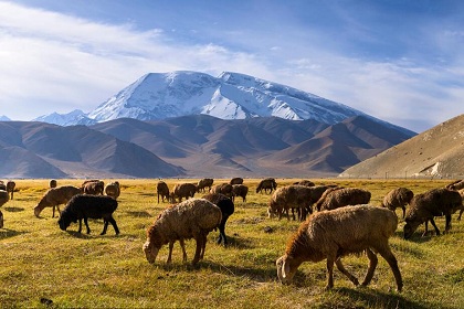 Pamirs landscape