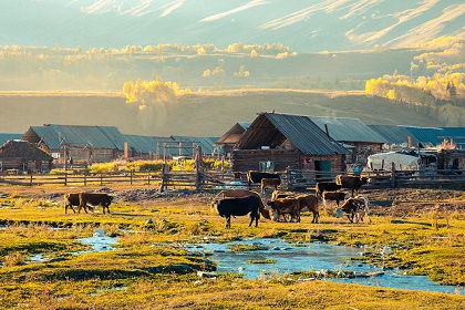 Hemu village