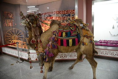 Xinjiang Regional Museum