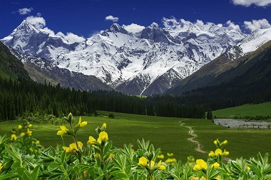 Xiata Grassland