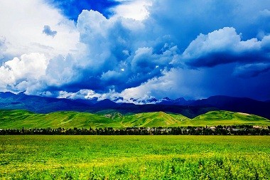 Naraty Grassland