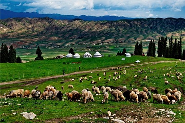 Kalajun Grassland
