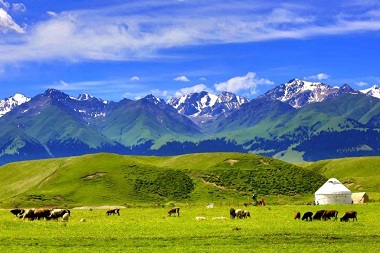 Naraty Grassland