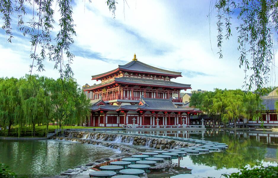 Tang Paradise