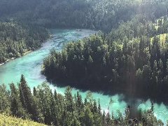 North Xinjiang Feedback