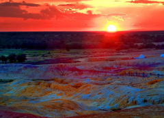 Silk Road and Northern Xinjiang Travel Review from Malaysia Group