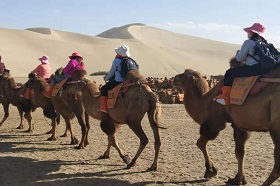 Dunhuang Camel Riding