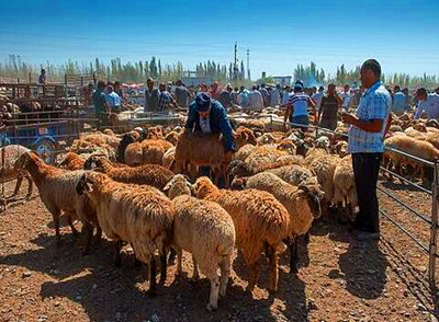 Kashgar Sunday Bazaar